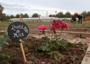 De terrenys heretats a horts socials i comunitaris: una dotzena de persones cultivaran ‘Lo Tros’ d’Amposta