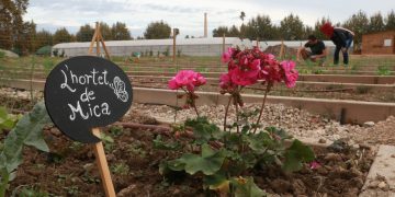 De terrenys heretats a horts socials i comunitaris: una dotzena de persones cultivaran ‘Lo Tros’ d’Amposta