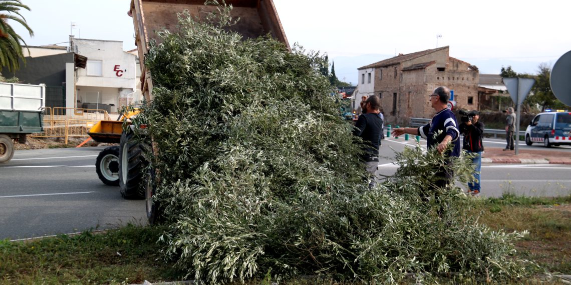 Així ha sigut la manifestació amb tractors de la Unió de Pagesos a Tortosa, contra la prohibició de cremar restes vegetals