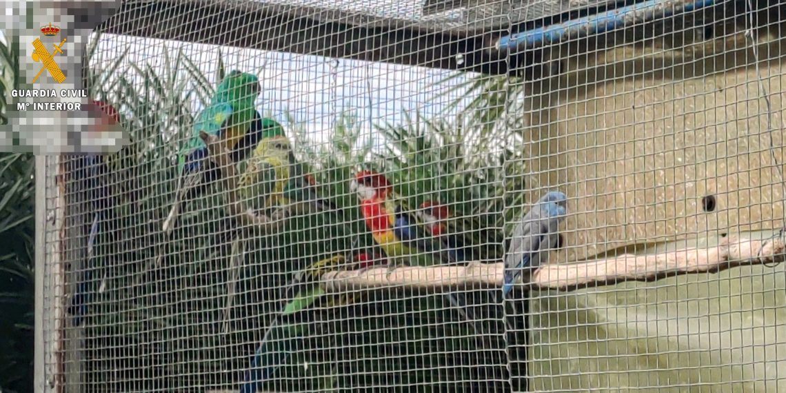 Intercepten 34 animals de diverses espècies protegides en un recinte privat de Deltebre