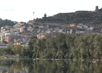 Investiguen l’origen de l’escuma que ha aparegut al riu Ebre a l’altura d’Ascó