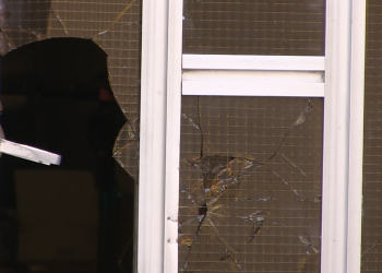 Detenen vuit persones en una operació contra la venda de drogues a Roquetes