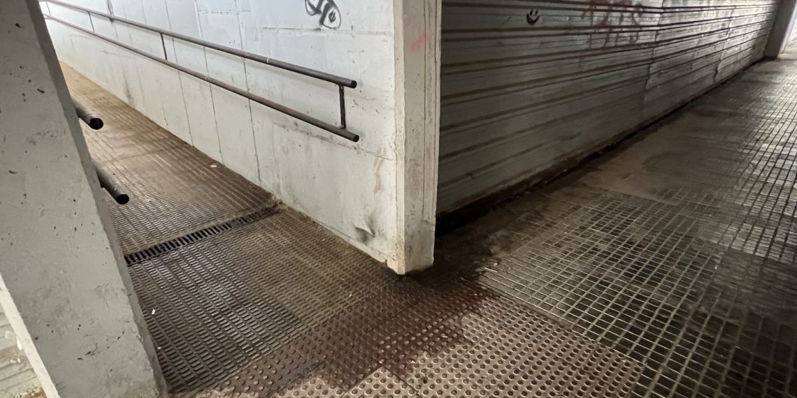 Activem Ulldecona reclama més neteja i seguretat a la zona de l’estació de Renfe