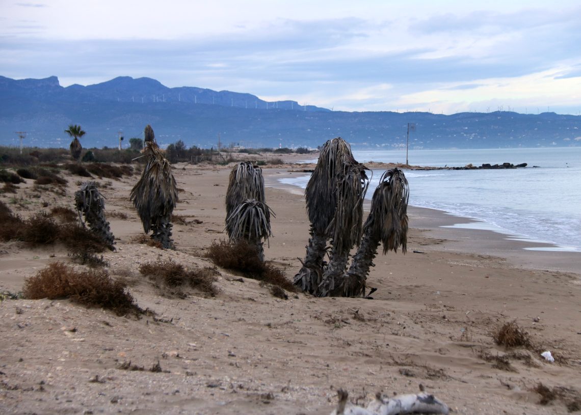 El govern espanyol defensa que la nova delimitació de la costa del Delta afecta sobretot espais inundables i públics