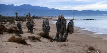 El govern espanyol defensa que la nova delimitació de la costa del Delta afecta sobretot espais inundables i públics