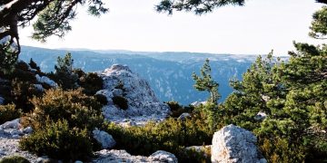 Tortosa planifica la gestió forestal dels terrenys municipals del Port durant 15 anys