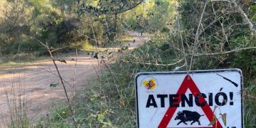 Acció Climàtica presenta el pla de xoc per fer front a la sobrepoblació de senglars a l’Ebre