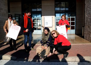 Tren Dignes i Diàspora Ebrenca reivindiquen que ‘el 2023 siga l’any del tren’ i que paren els Avant i Euromed promesos