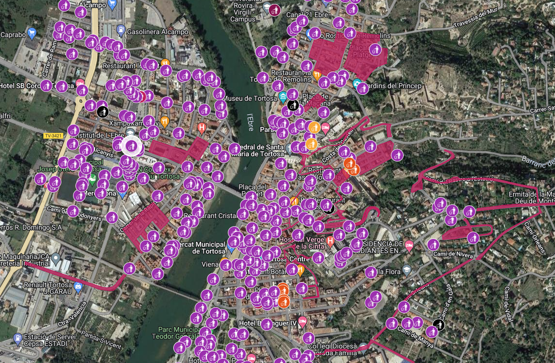 Movem Tortosa vol agents cívics i una millor distribució de les papereres al municipi