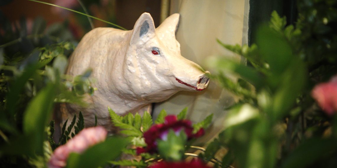 [#Fotogaleria] Alcanar: les imatges més espectaculars de la festa de Sant Antoni