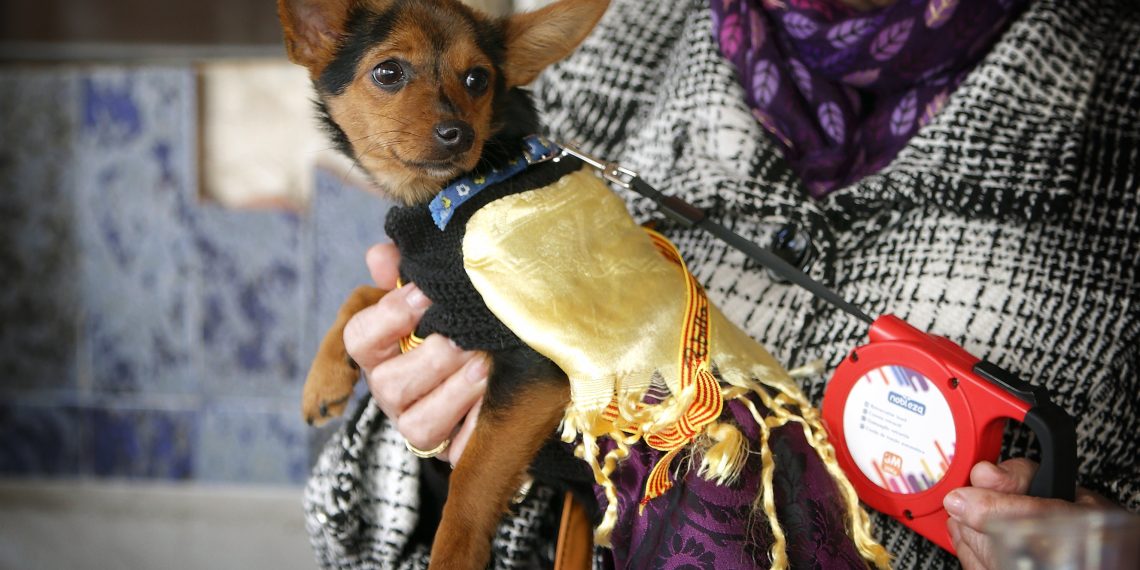 [#Fotogaleria] Alcanar: les imatges més espectaculars de la festa de Sant Antoni