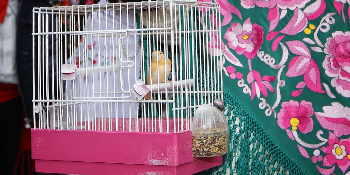 [#Fotogaleria] Alcanar: les imatges més espectaculars de la festa de Sant Antoni