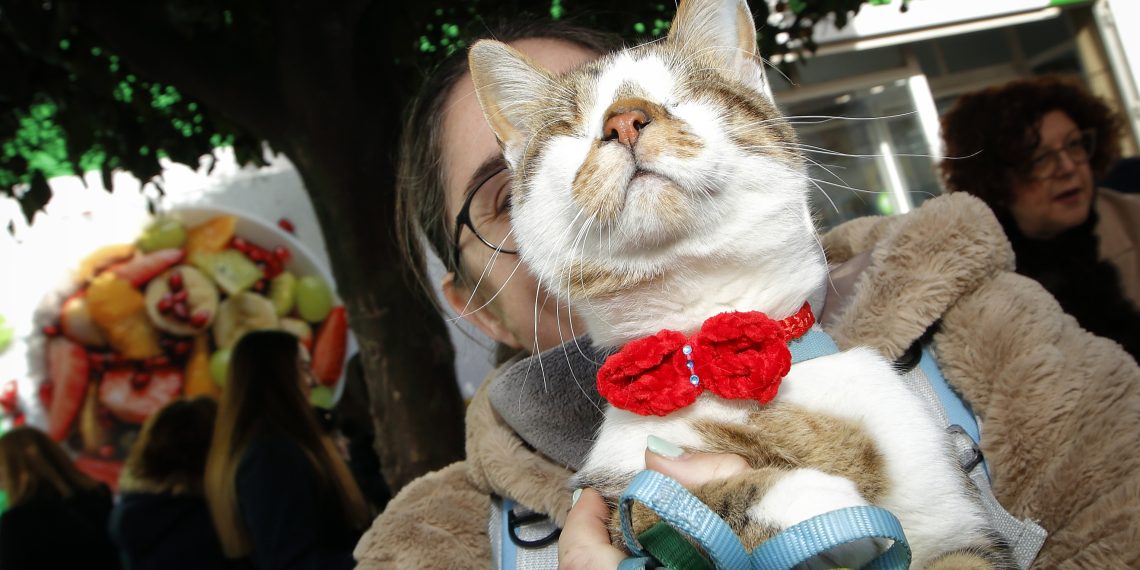 [#Fotogaleria] Alcanar: les imatges més espectaculars de la festa de Sant Antoni