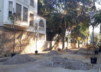 Tortosa accelera la renovació de l’arbrat i altres millores al parc Teodor González