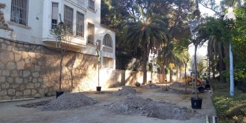 Tortosa accelera la renovació de l’arbrat i altres millores al parc Teodor González