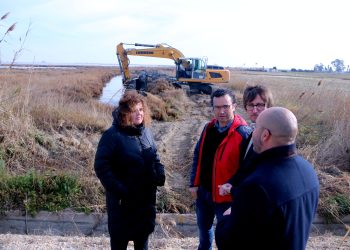 Aixequen i reforcen les guardes de les llacunes del delta de l’Ebre per evitar l’entrada d’aigua marina als arrossars