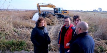 Aixequen i reforcen les guardes de les llacunes del delta de l’Ebre per evitar l’entrada d’aigua marina als arrossars