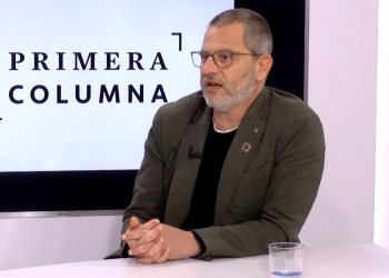 Gómez diu que el Govern ja té molt avançat el reglament de la llei d’oliveres mil·lenàries