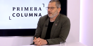 Gómez diu que el Govern ja té molt avançat el reglament de la llei d’oliveres mil·lenàries