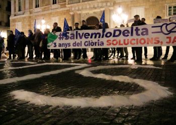 Entitats ecologistes i de l’Ebre llancen un ‘SOS’ des de Barcelona per salvar el Delta quan fa tres anys del Gloria