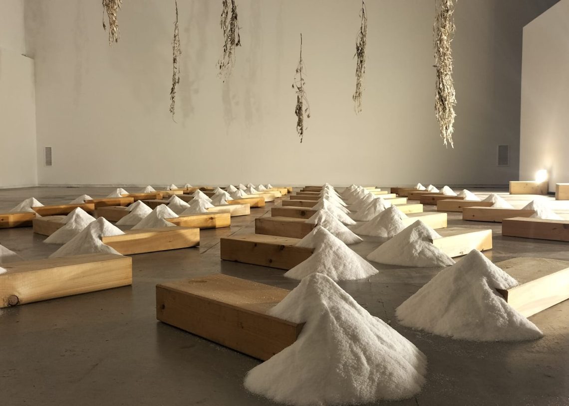 Les salines entren a Lo Pati per reflexionar sobre el seu valor cutural i ambiental