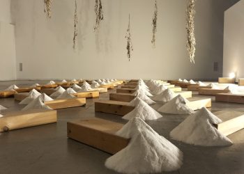 Les salines entren a Lo Pati per reflexionar sobre el seu valor cutural i ambiental