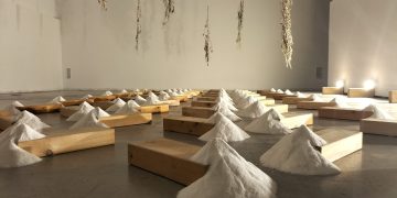 Les salines entren a Lo Pati per reflexionar sobre el seu valor cutural i ambiental