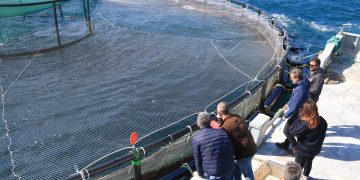 L’empresa aqüícola Acuidelta construirà un centre per classificar el peix a la Cala