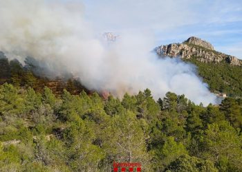 Controlat el foc forestal entre Xerta i Paüls, que ha afectat 5,18 hectàrees segons els Agents Rurals