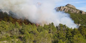 Controlat el foc forestal entre Xerta i Paüls, que ha afectat 5,18 hectàrees segons els Agents Rurals