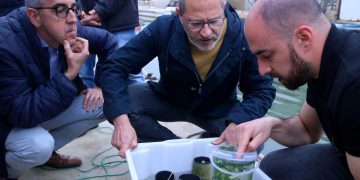 Els musclaires introdueixen la producció d’algues en cordes a les badies del Delta