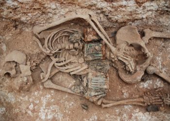 Exhumen d’urgència sis soldats de la Guerra Civil enterrats a la fossa del cementiri de Masdenverge