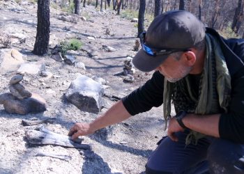 Ossos entre cendres: l’incendi de Corbera d’Ebre segueix destapant restes de soldats de la Guerra Civil un any després