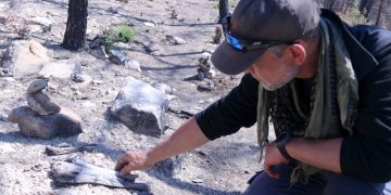 Ossos entre cendres: l’incendi de Corbera d’Ebre segueix destapant restes de soldats de la Guerra Civil un any després