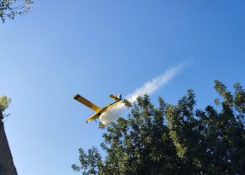 Crida a la col·laboració ciutadana per investigar l’onada d’incendis a Tortosa