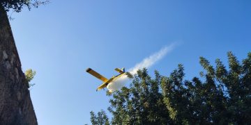 Crida a la col·laboració ciutadana per investigar l’onada d’incendis a Tortosa