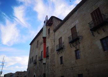 Els Agents Rurals inspeccionen unes obres del Palau del Bisbe per la possible destrucció de nius d’oronetes