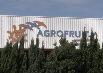 El judici pel concurs de creditors d’Agrofruit, ajornat per falta d’espai a la sala de vistes