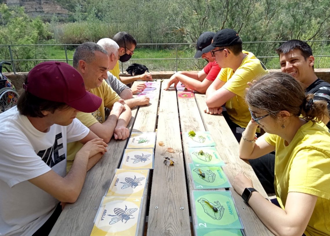 El Grup Natura Freixe implica més de 200 nens i joves en protegir els pol·linitzadors silvestres i els seus hàbitats