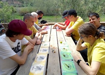 El Grup Natura Freixe implica més de 200 nens i joves en protegir els pol·linitzadors silvestres i els seus hàbitats