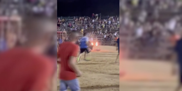 Les imatges de l’ensurt amb el bou embolat durant les festes de la Ràpita