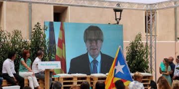 Entendre el perdre, per saber guanyar