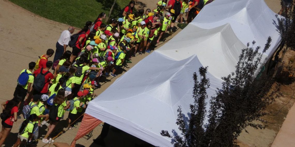 Un Renaixement de transició