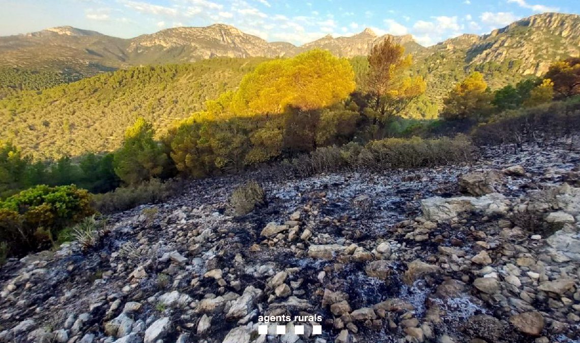 Controlat un incendi forestal a Mas de Barberans, que afecta unes 1,2 hectàrees al Parc Natural dels Ports
