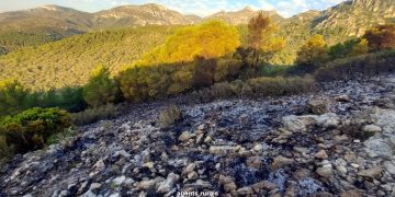 Controlat un incendi forestal a Mas de Barberans, que afecta unes 1,2 hectàrees al Parc Natural dels Ports