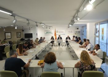 El Consell Comarcal de la Ribera d’Ebre aprova el nou organigrama de govern, distribuït en tres grans àrees