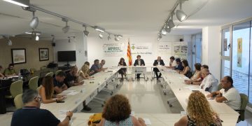 El Consell Comarcal de la Ribera d’Ebre aprova el nou organigrama de govern, distribuït en tres grans àrees