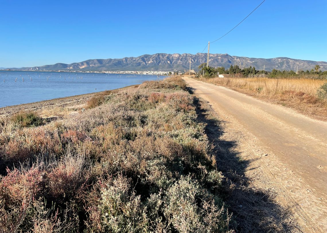 A concurs la redacció de la tercera fase del camí de guarda de la badia dels Alfacs