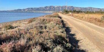 A concurs la redacció de la tercera fase del camí de guarda de la badia dels Alfacs