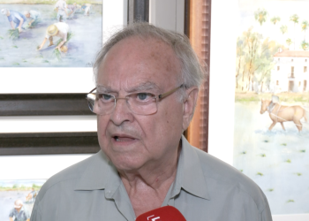 Així és l’exposició ‘Josep Rollan, dibuixos i pintures’, al Museu de l’Ebre de Tortosa